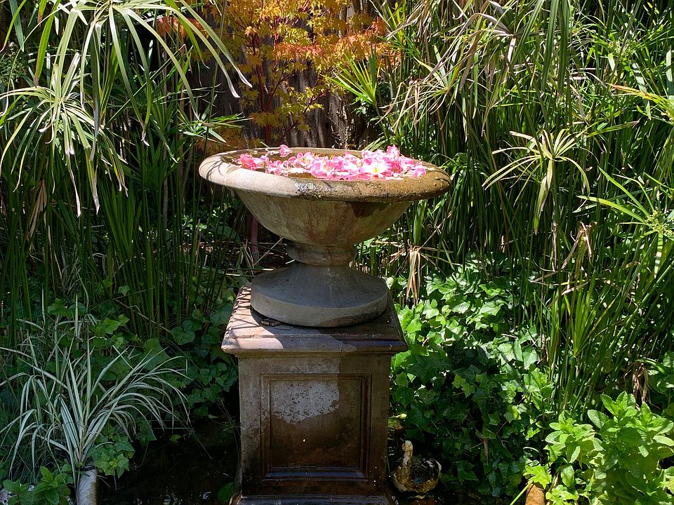 front yard w fountain