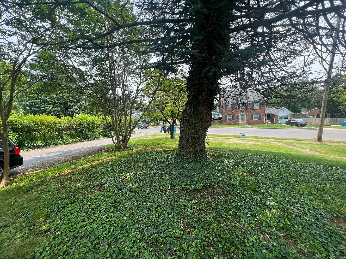 2518 Oakland Blvd — Photo 4