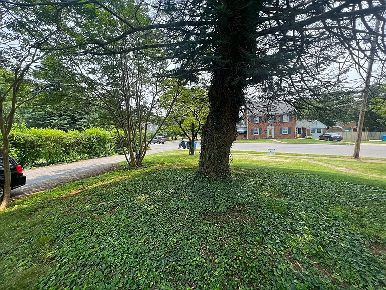 2518 Oakland Blvd NW — Photo 4