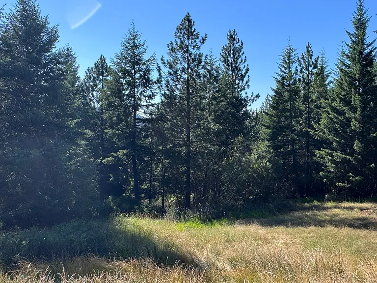 11665 W Coyote Ln — Photo 4
