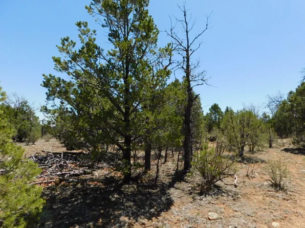 3517 Sunset Ridge Loop, Happy Jack, AZ 86024