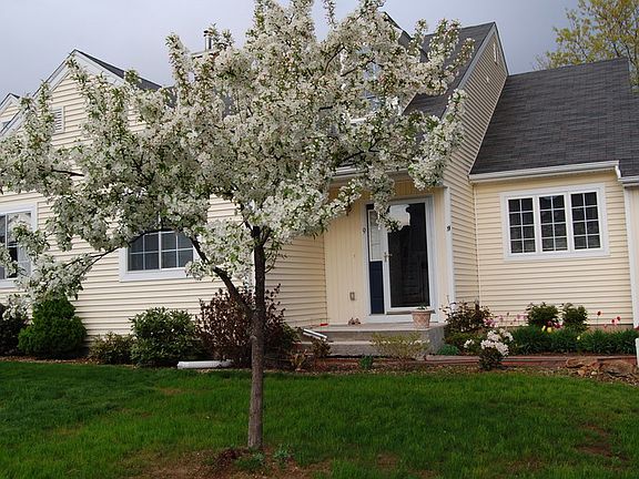 Spring
						:
						Spring scene