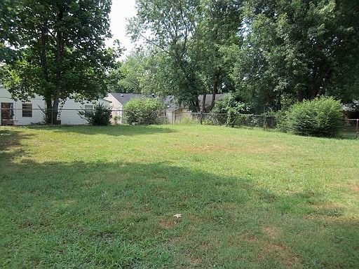 Back yard