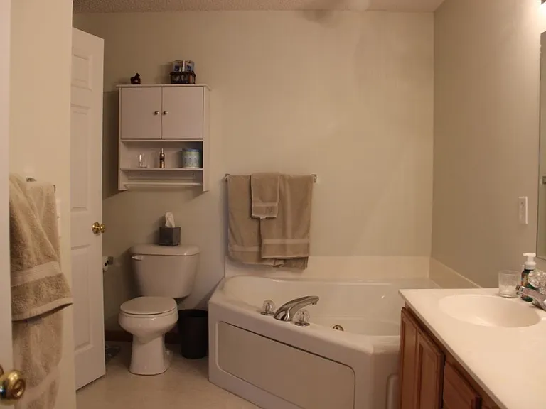 Double vanity and separate tub