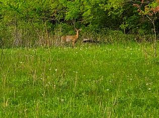 0 Smith Rd, Lapeer, MI 48446