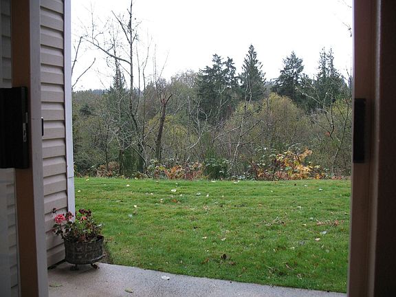 Patio/yard
