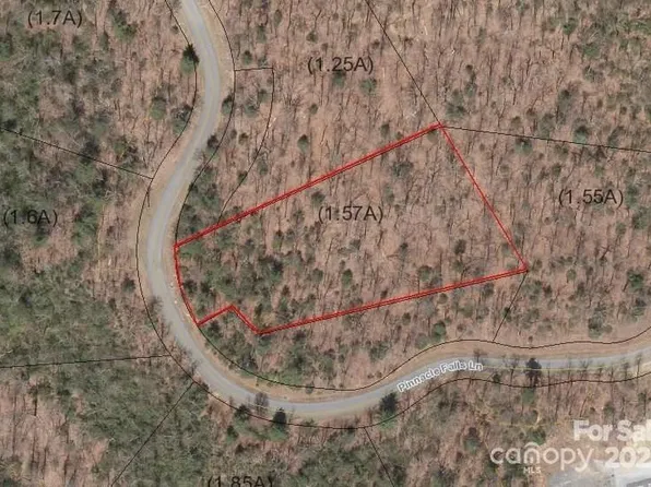 0 Pinnacle Falls Ln #22, Zirconia, NC 28790