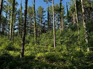 11045 Rockwood Dr LOT 27, Minocqua, WI 54548