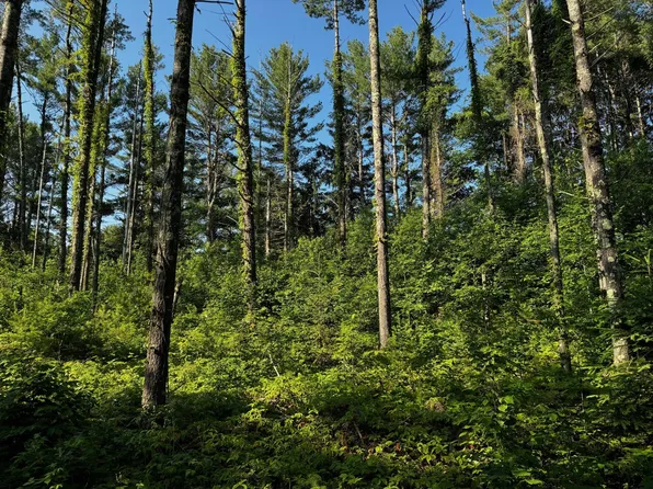 11045 Rockwood Dr Lot 27, Minocqua, WI 54548
