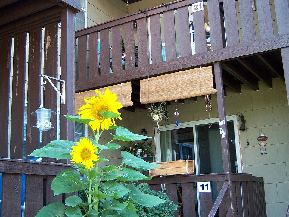 Rear Deck Entry