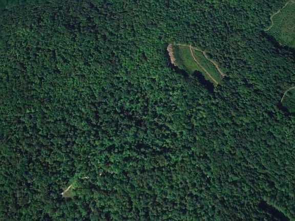 2nd image of Whites Branch Rd