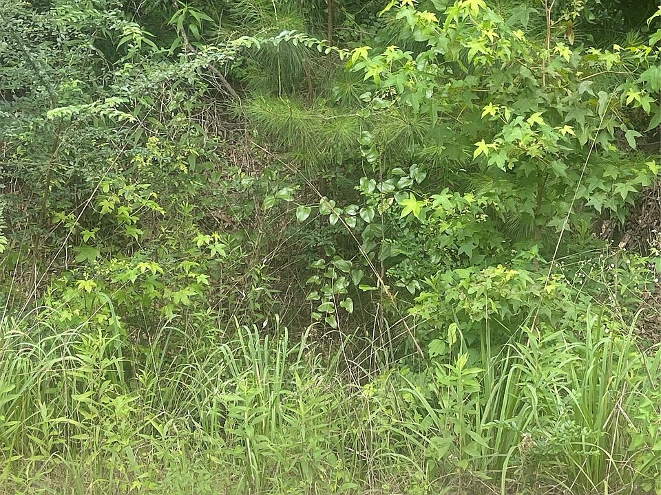 1st image of 0 E Forest Rd #63