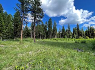 767 Montana Dr, Seeley Lake, MT 59868