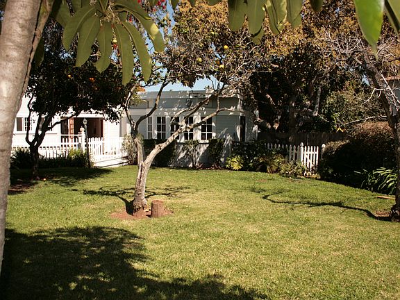 Back yard