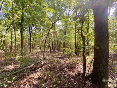 3616 County Road 36, Clarkridge, AR, 72623