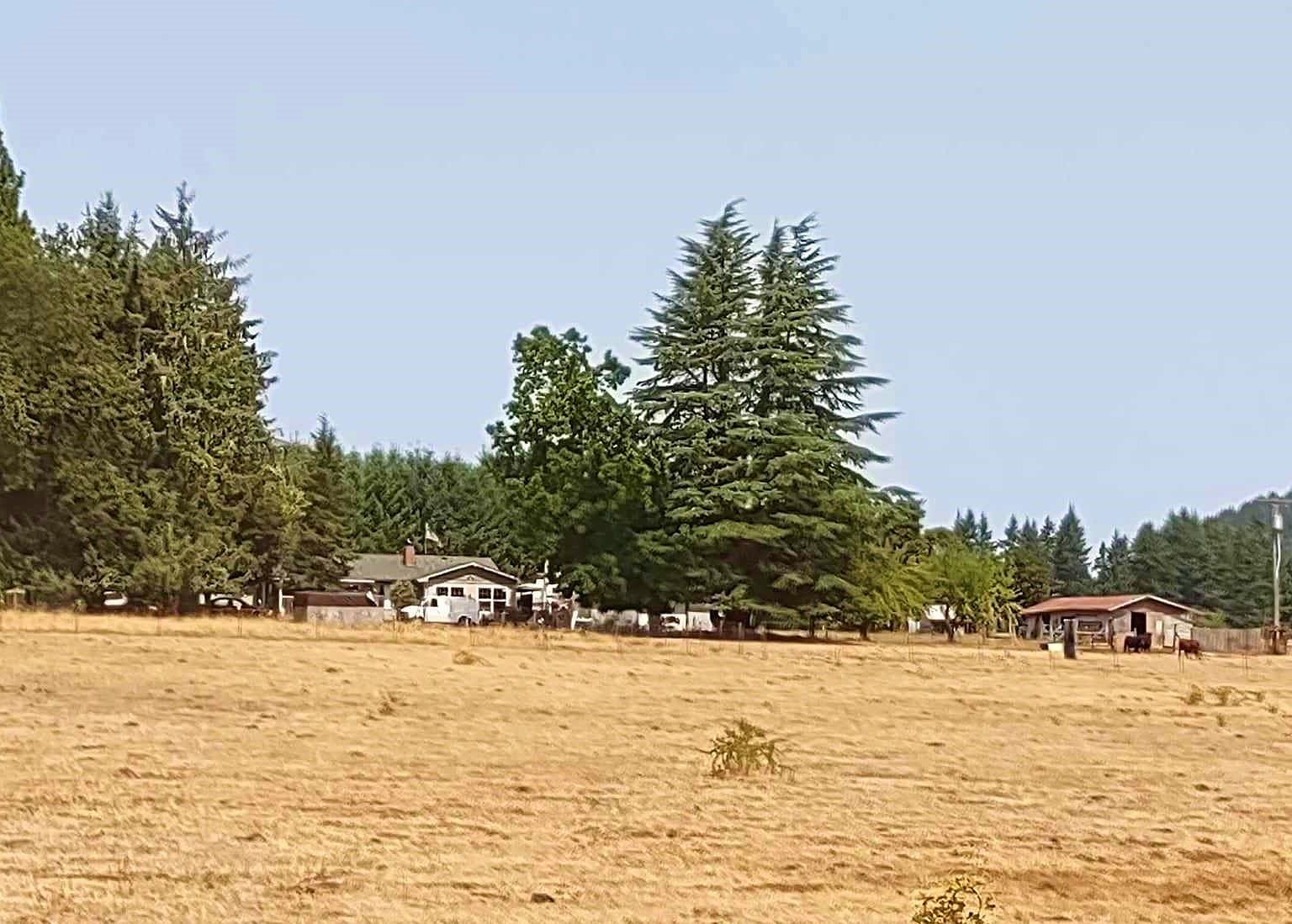 34204 E Rd, Lebanon, OR 97355 MLS 808783 Zillow