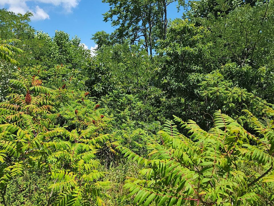 0 Gap Rd, Altamont, TN 37301 Zillow