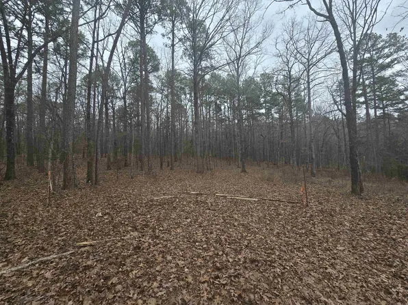 0 Walkers Way, Clinton, AR 72031