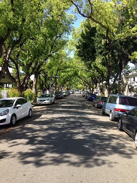 1st image of 827 W 41st St
