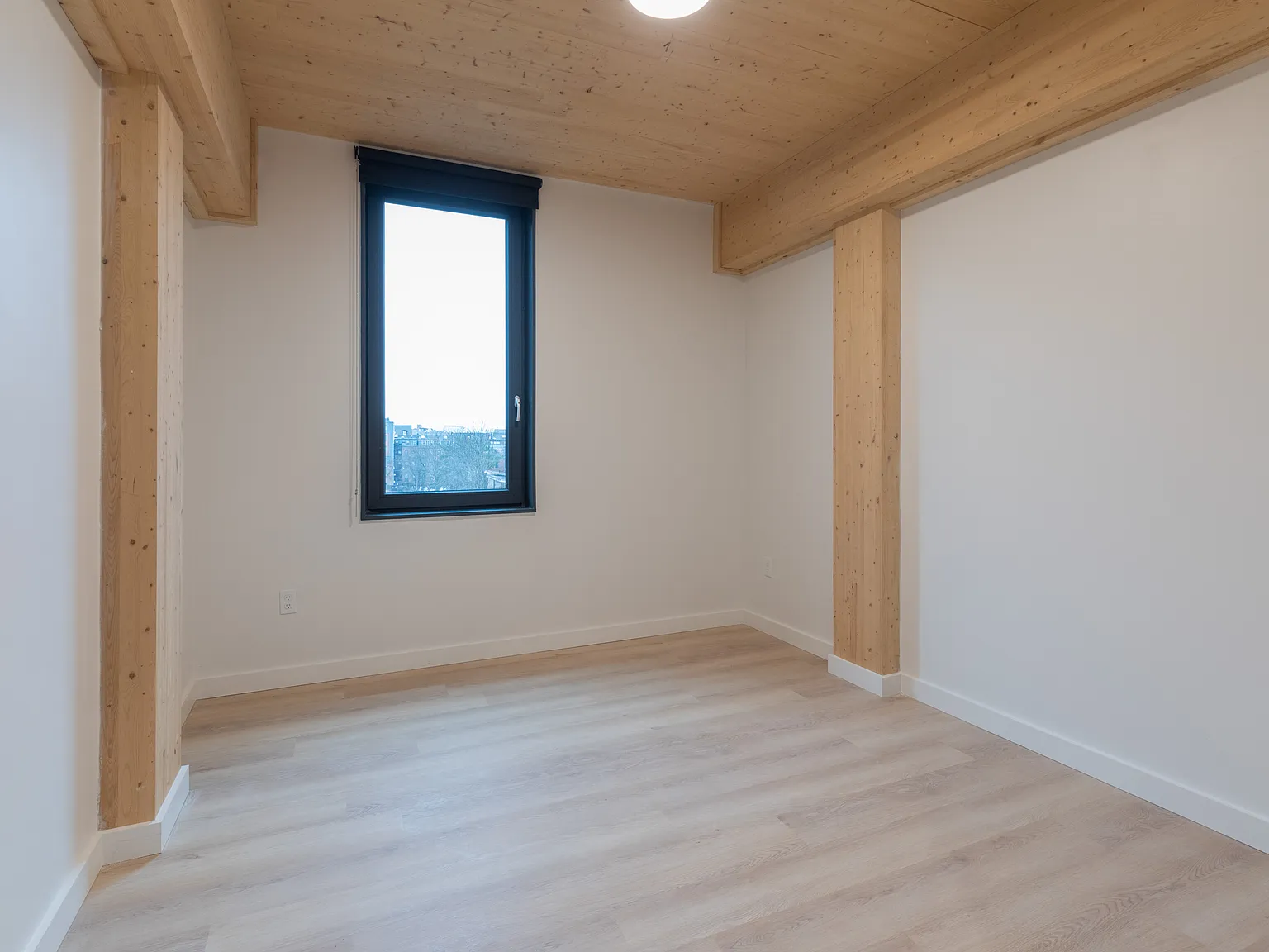 3 bed, 2.0 bath, 1019 sqft, $5,500 — Photo 3