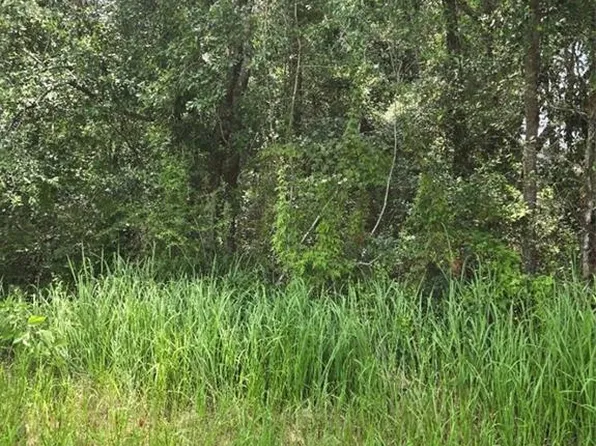2749 Bear Fork Rd, Eight Mile, AL 36613
