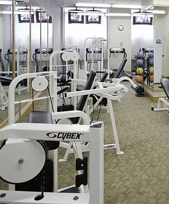 Rented by Nancy Packes Inc. | media 11