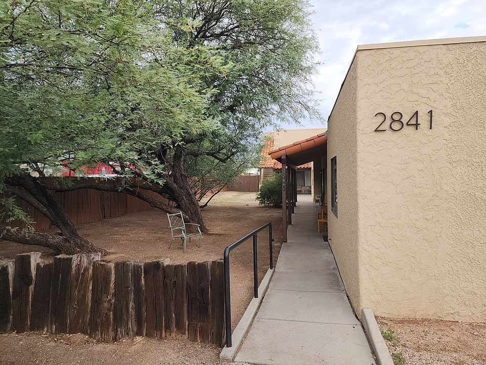 Entry sidewalk and yard