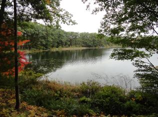 9064 Ridge View Dr, Irons, MI 49644