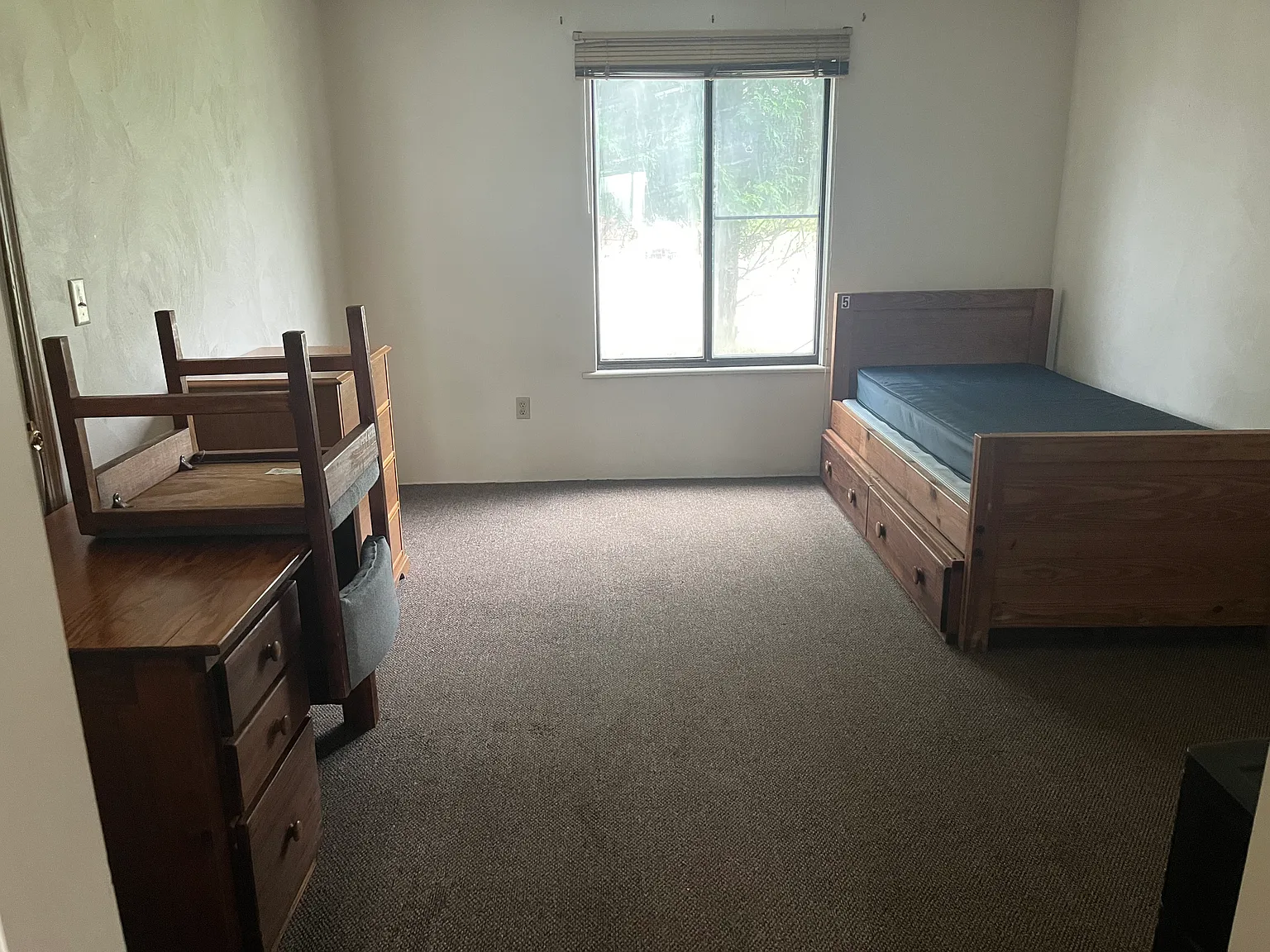 1 bed, $950 — Photo 3