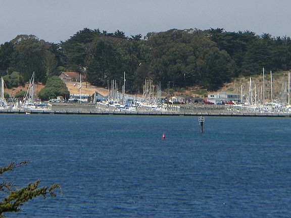 Marina View