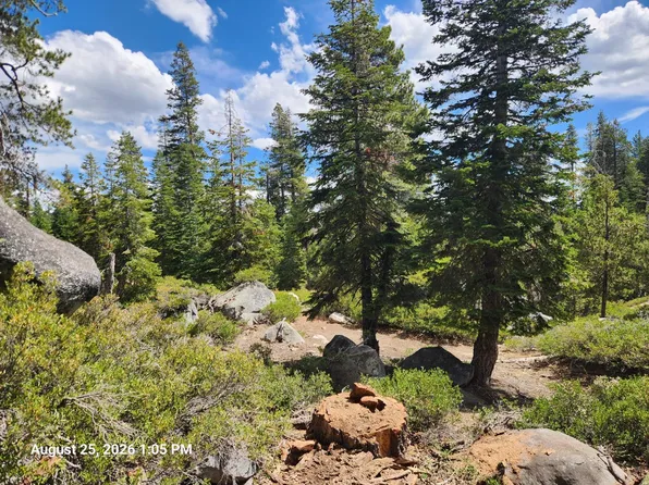 387 Jeffry Cir, Arnold, CA 95223