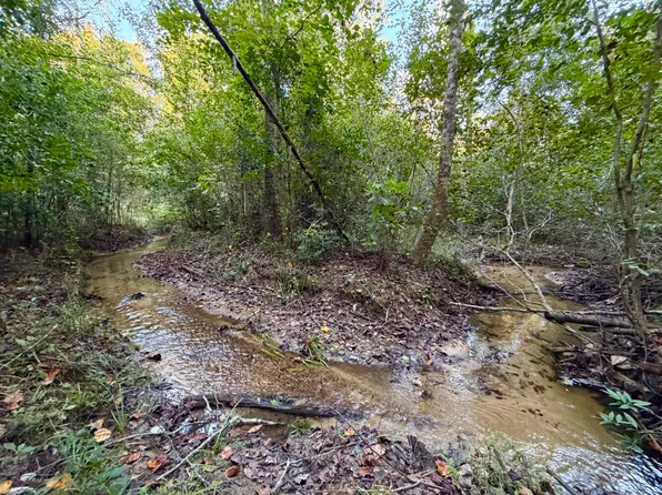 0 Shady Grove Rd, Jackson, AL 36545
