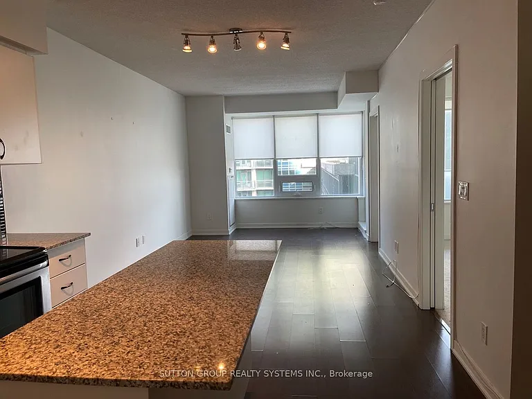 59 E Liberty St #1102 — Photo 6