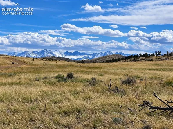 LOT 2 Pine Valley Rd, Cotopaxi, CO 81223