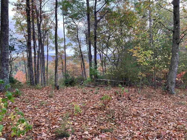White Fox Trl Lot 15, Marietta, SC 29661