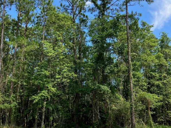 LOT 68 Aupuni Pl Lot 68, Diamondhead, MS 39525