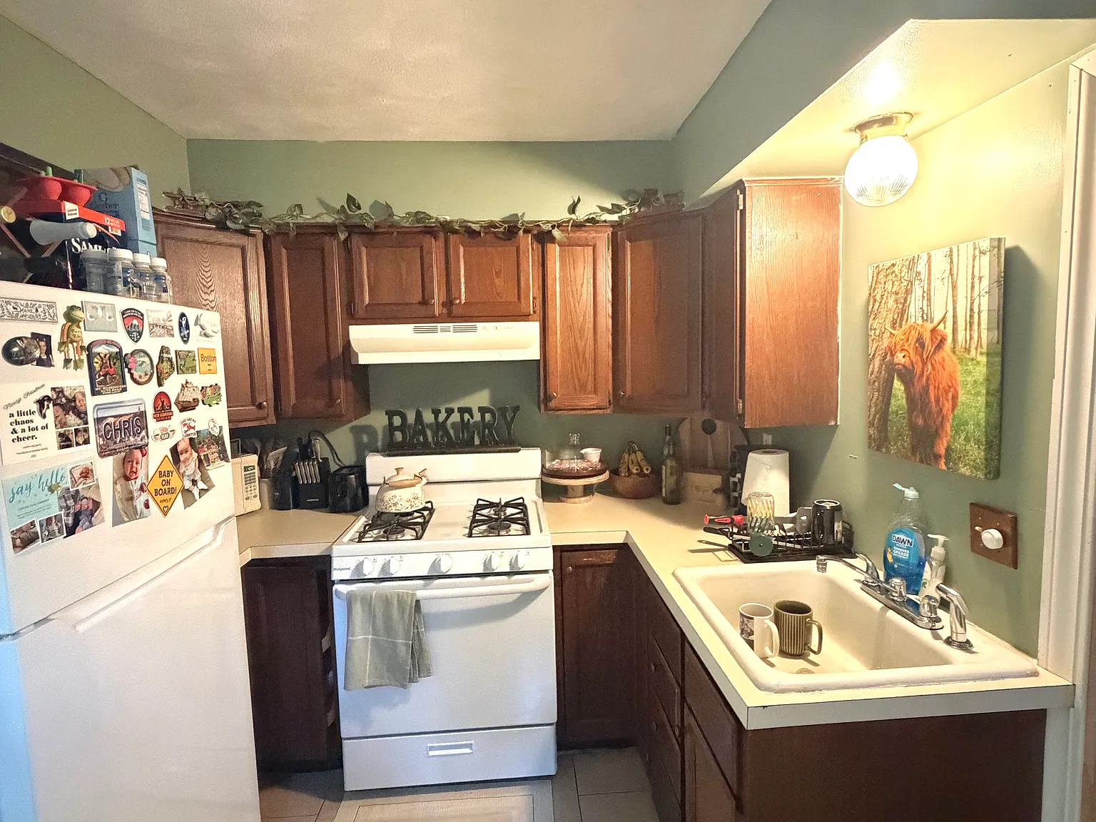 1 bed, 897 sqft, $1,900 — Photo 3
