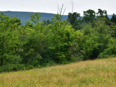 49 Hall Road, Johnsonville, NY, 12094