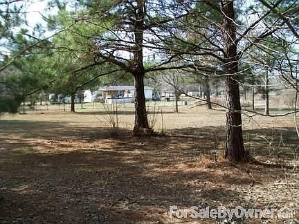The Back Yard
						:
						From the back yard looking towards the house