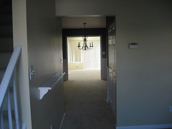 View from Front Room