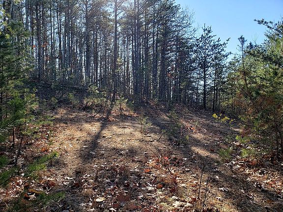 4th image of 4142 Mountain Vista Dr