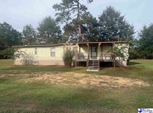 1353 James Loop Rd, Manning, SC 29102