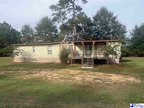 1353 James Loop Rd, Manning, SC 29102