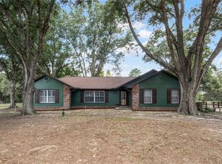 17309 Vinola Ln, Montverde, FL 34756