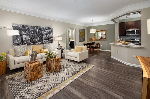 Windsor Johns Creek Photo 1