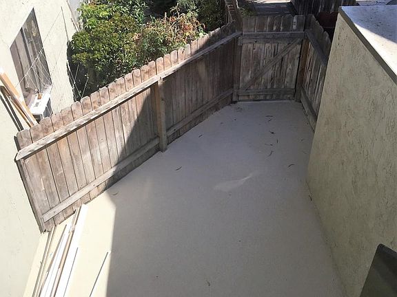 Back yard 1