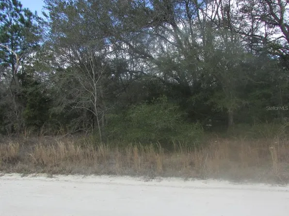 SW 102nd Pl Lot 23, Dunnellon, FL 34432