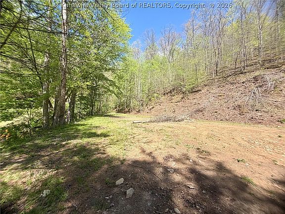 5th image of 469 Tims Fork Rd