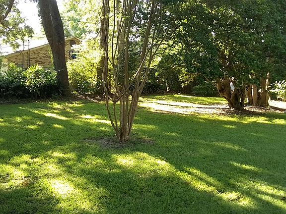 Large front yard with established greenery