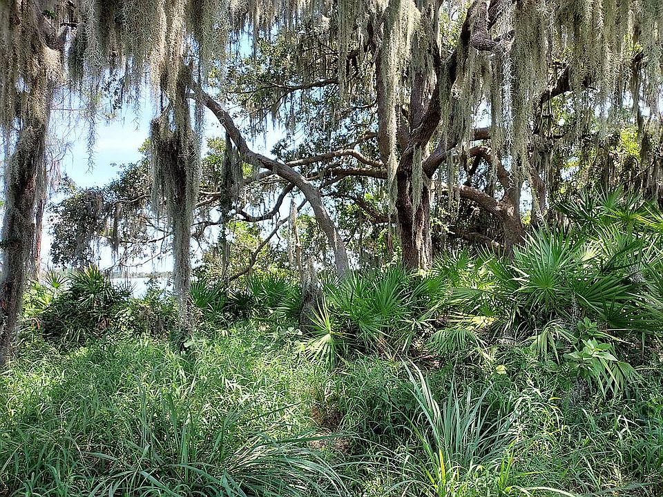 2nd image of 10123 Atwater Bay Dr